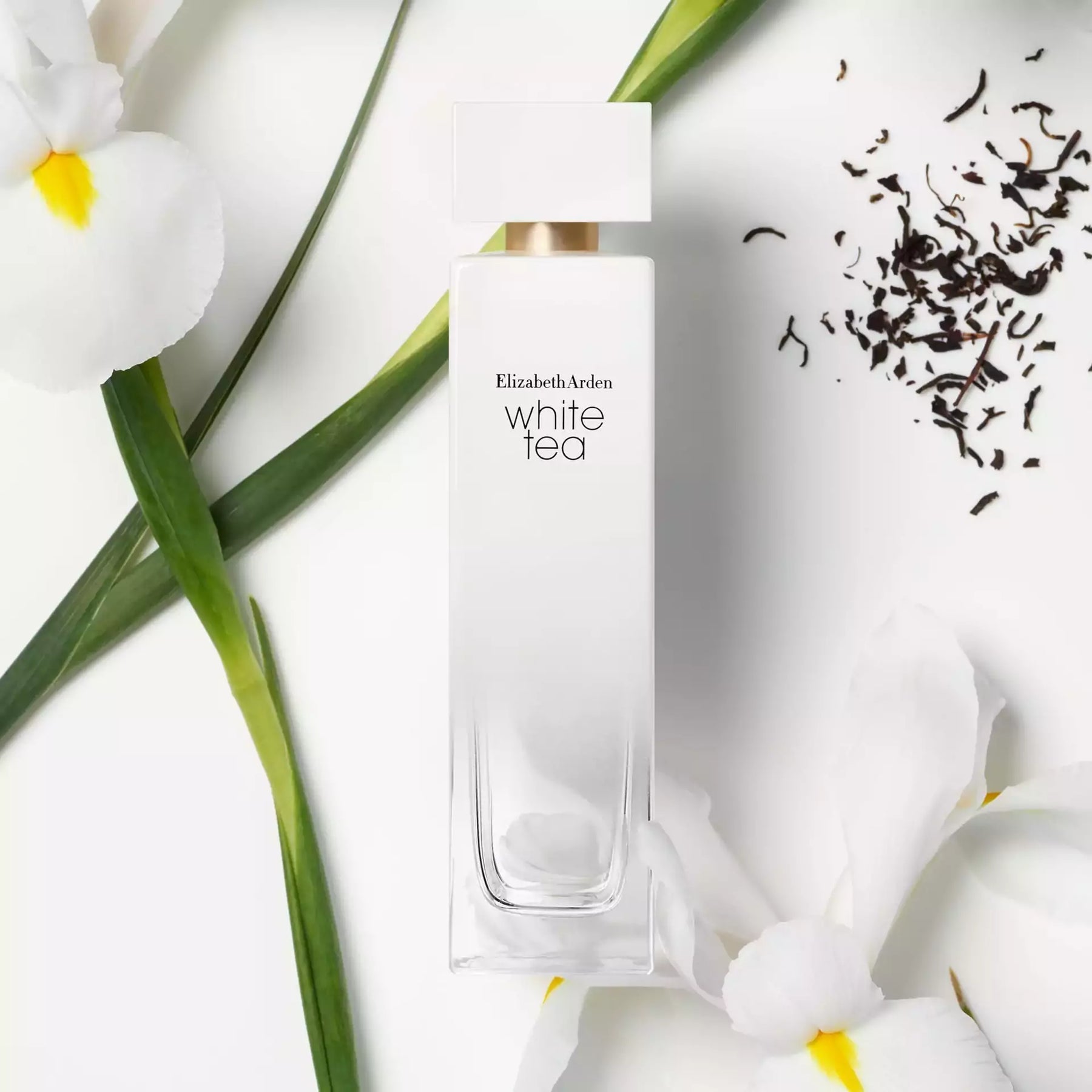 Elizabeth Arden White Tea Vanilla Orchid Eau De Toilette Fragrance For Women, 100ml osbshop.pk