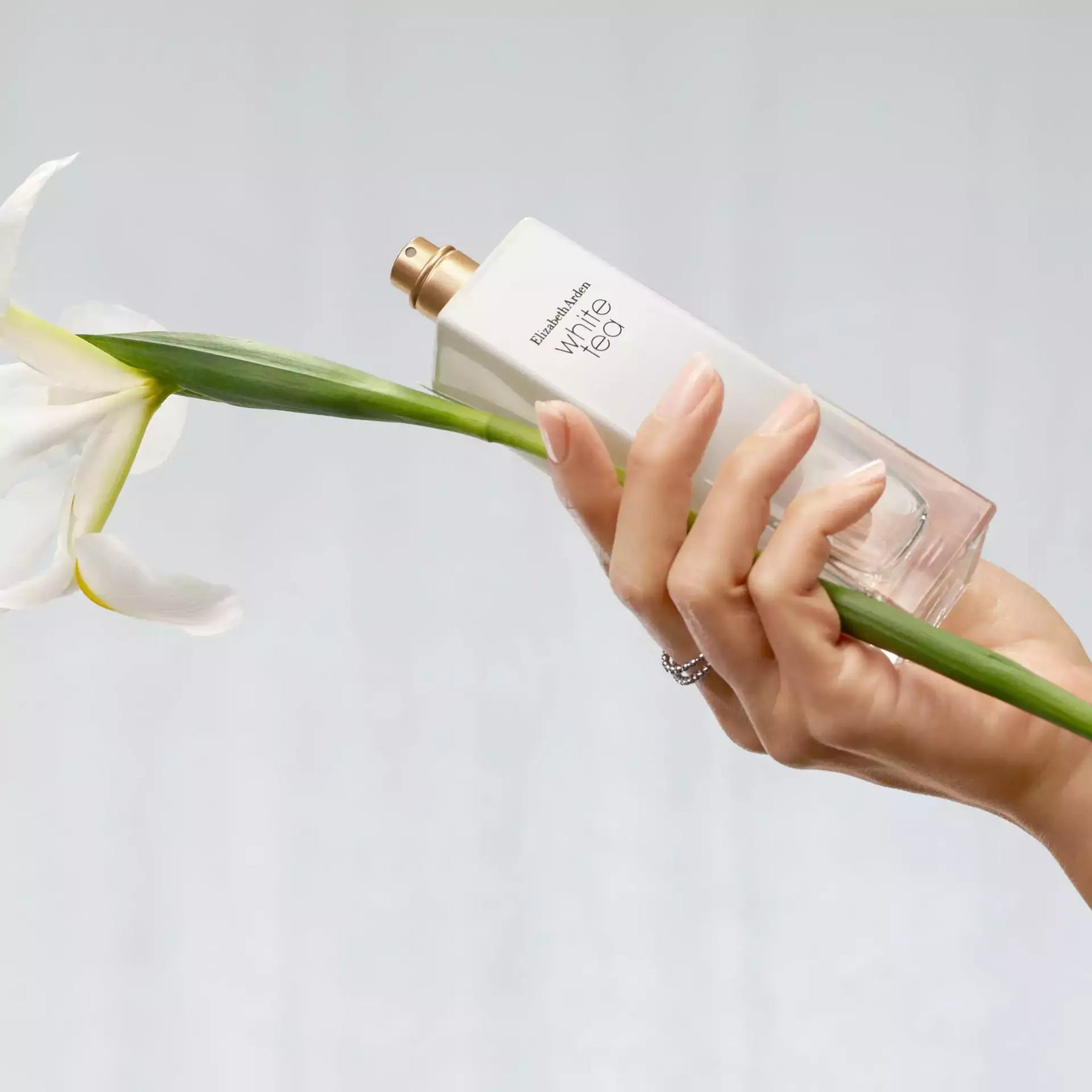 Elizabeth Arden White Tea Vanilla Orchid Eau De Toilette Fragrance For Women, 100ml osbshop.pk