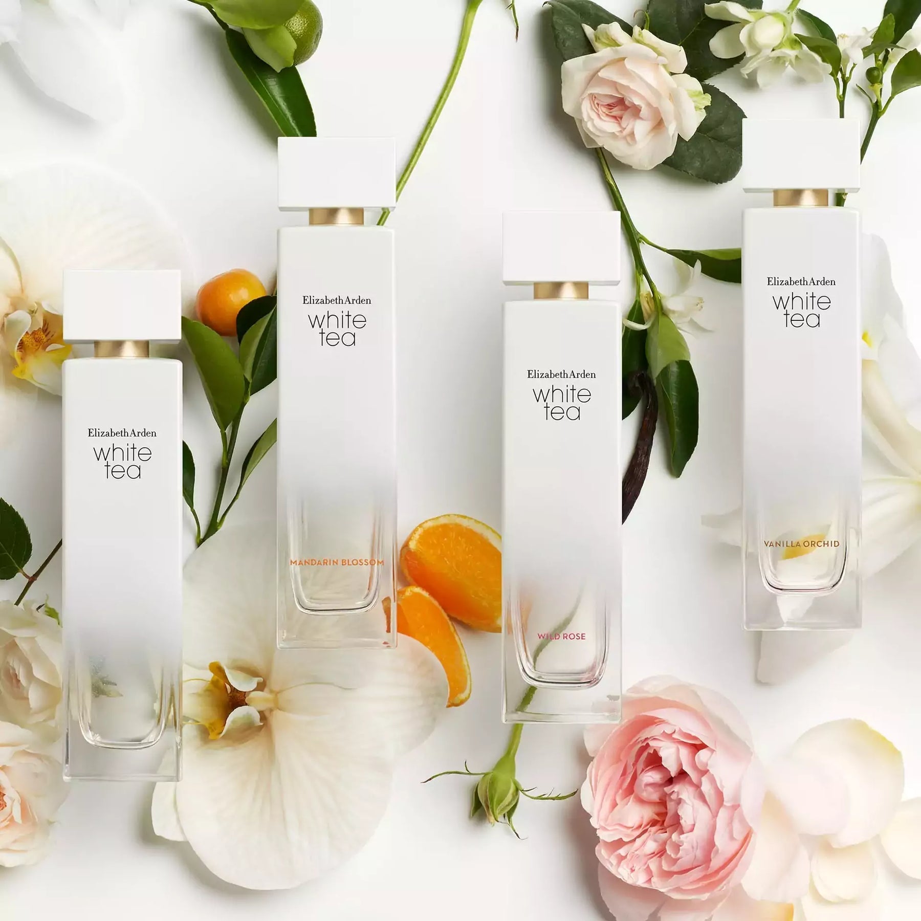 Elizabeth Arden White Tea Vanilla Orchid Eau De Toilette Fragrance For Women, 100ml osbshop.pk