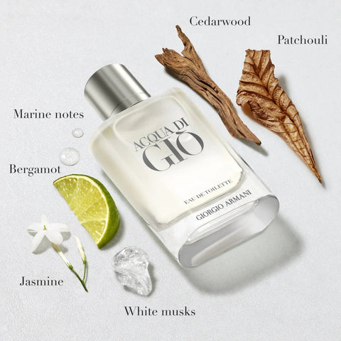 Giorgio Armani Acqua Di Gio Edt For Men 100ml-Perfume osbshop.pk