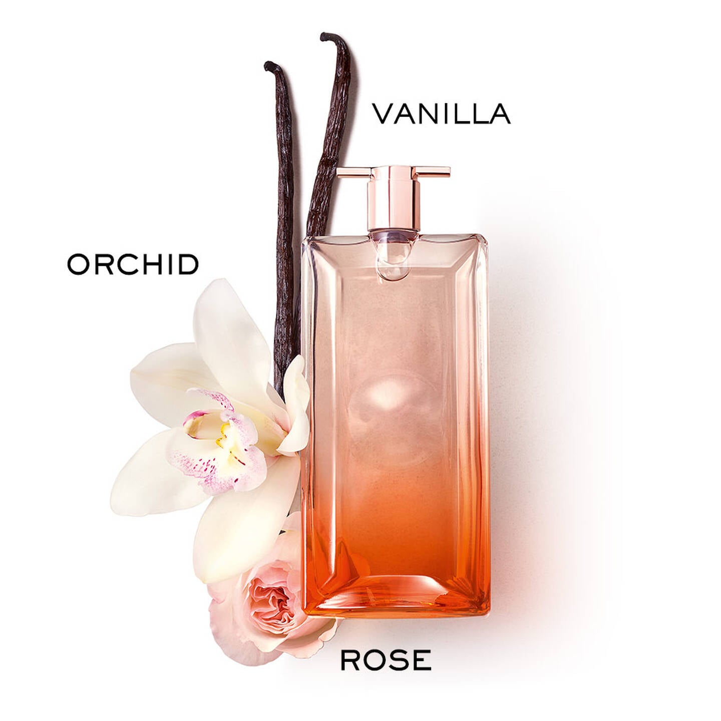 Lancome Idole Now Florale, Eau De Parfum, For Women, 100ml osbshop.pk