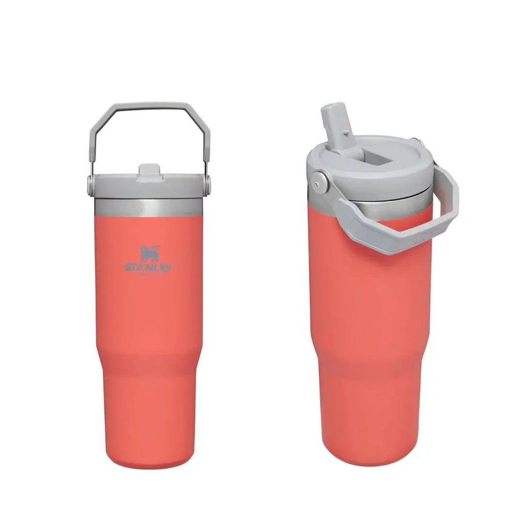 IceFlow Flip Straw - osbshop.pk