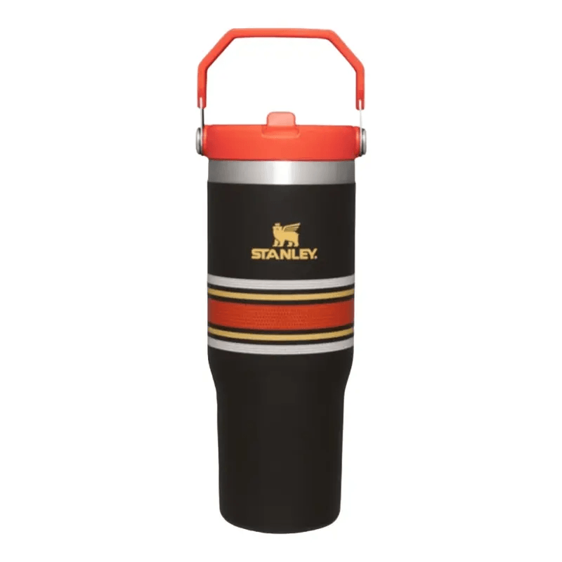 Stanley IceFlow Flip Straw Lined - osbshop.pk