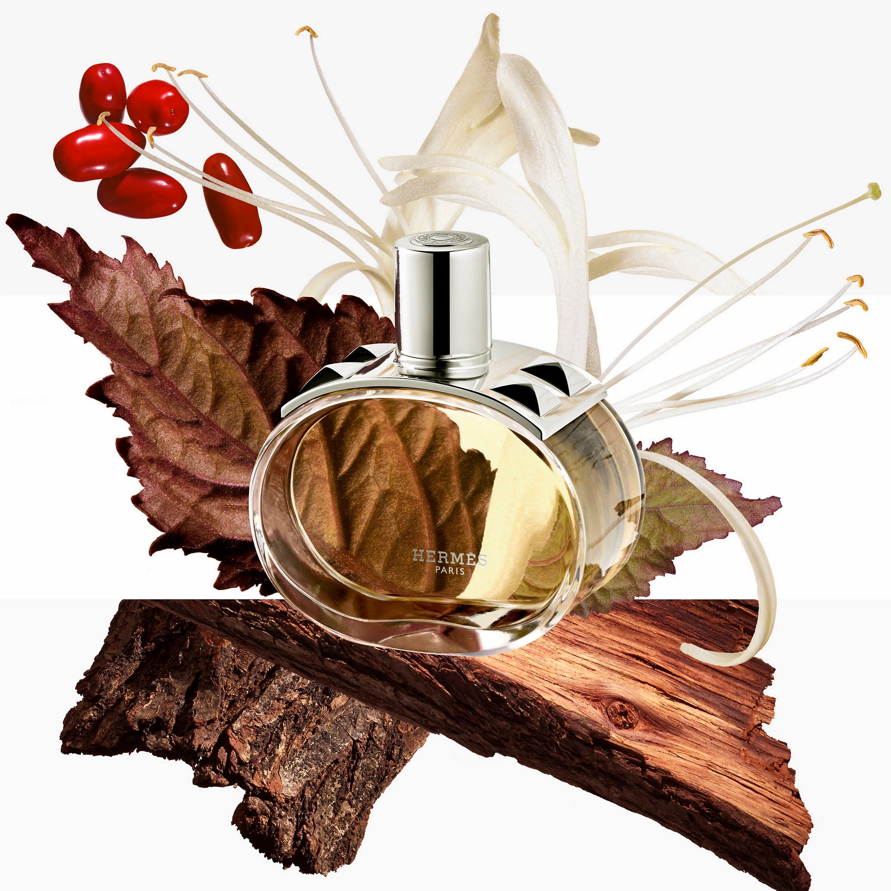 Hermes Barenia Perfume, Eau De Parfum, For Women, 100ml osbshop.pk