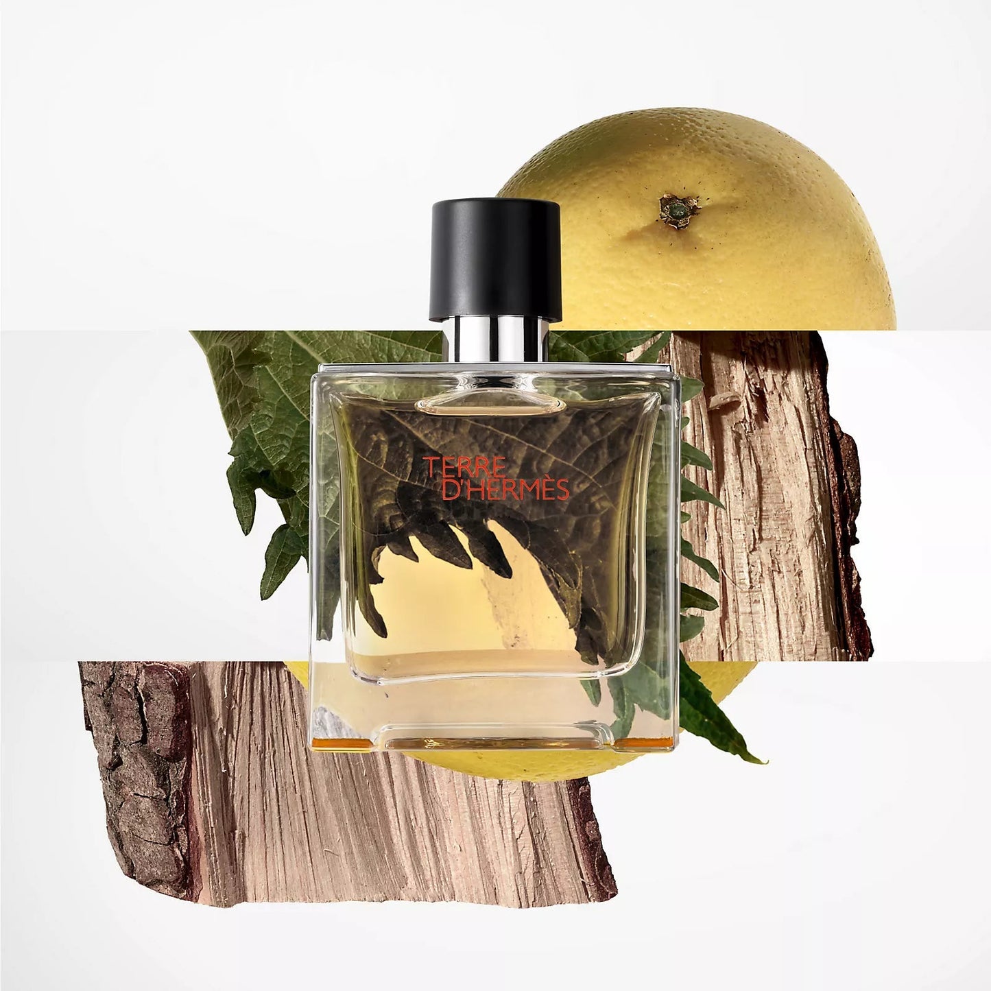 Hermes Terre D'Hermes Men EDT