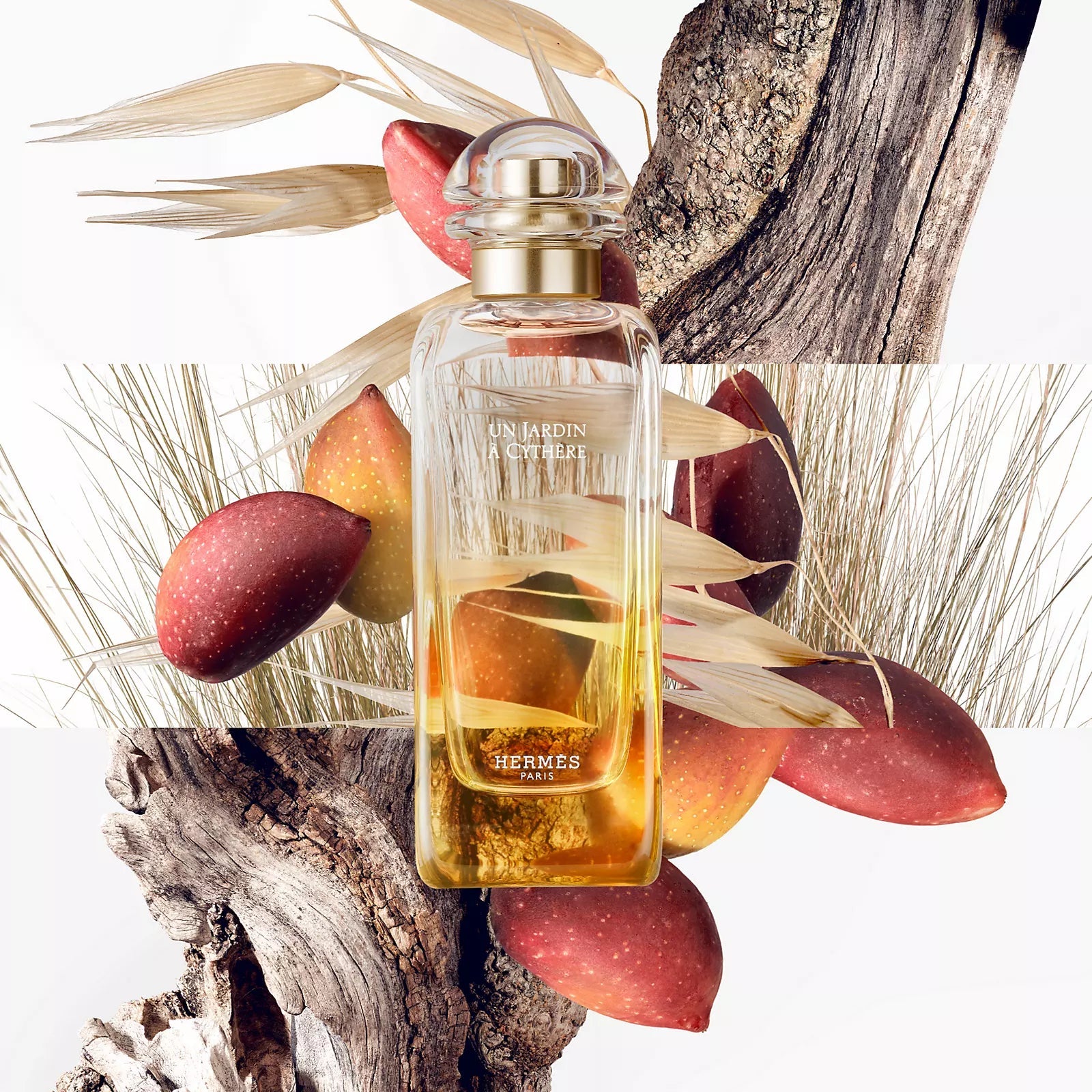 Hermes Un Jardin A Cythere Eau De Toilette, For Women, 100ml osbshop.pk