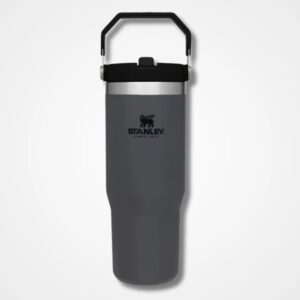 Stanley IceFlow Flip Straw